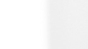 Un año de la muerte de Octavio Ocaña | Mezcalent.