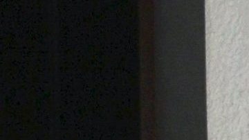 Gaby Spanic denuncia que intentaron asesinar a su hermana gemela | Mezcalent.