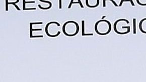 Gabriel Soto e Irina Baeva podrían tener problemas en su relación | Mezcalent.