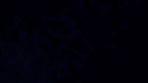 Erika Buenfil denuncia acoso | Mezcalent.