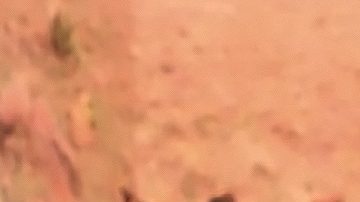 Eduin Caz regresa al gimnasio.