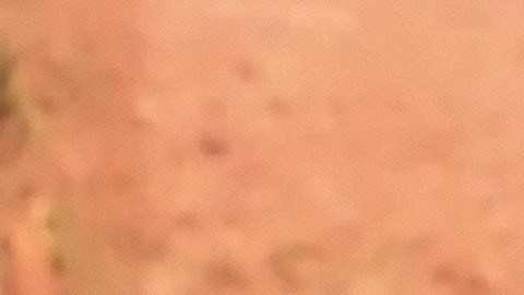 Eduin Caz, vocalista de Grupo Firme sufrió un accidente | Mezcalent.