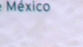 José Eduardo Derbez no recibiría herencia | Mezcalent.