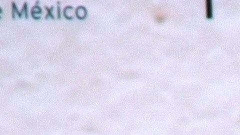 José Eduardo Derbez no recibiría herencia | Mezcalent.