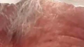 Elecciones en Brasil: 3 claves para entender el áspero duelo entre Bolsonaro y Lula (¿y puede el izquierdista ganar en primera vuelta?)