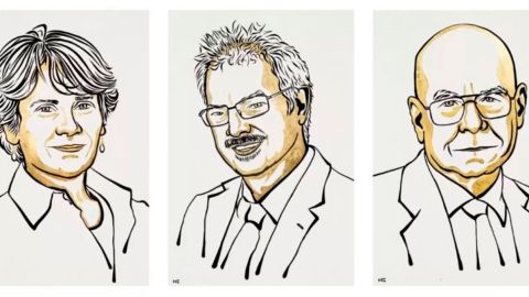 Premio Nobel de Química 2022: los ganadores son Carolyn Bertozzi, Morten Meldal y Barry Sharples por su desarrollo de la química click y bioortogonal