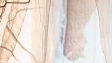 Ratas, huesos y barro: los alimentos del hambre que la gente desesperada come para sobrevivir