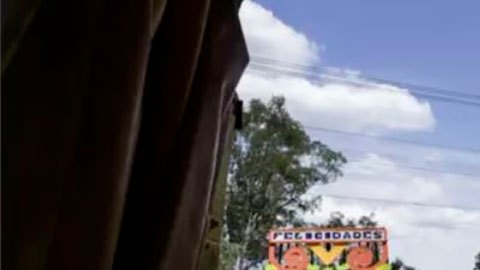 Las ingeniosas granjas flotantes inventadas por los aztecas que siguen siendo unas de las más productivas del mundo