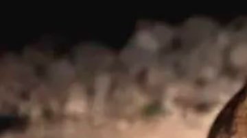 “La situación es peor que en cualquier otra parte del mundo”: Tigray, la asediada región que lleva 2 años en guerra