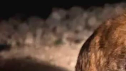 “La situación es peor que en cualquier otra parte del mundo”: Tigray, la asediada región que lleva 2 años en guerra
