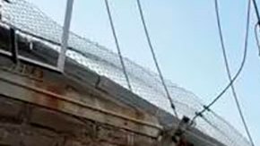 En fotos: el colapso de un puente en India que dejó más de 140 muertos