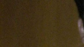 Vicente Fernández Jr tendrá su bioserie | Mezcalent.