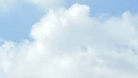 Partidarios de la proposición 30 en Wilmington. (Suministrada)