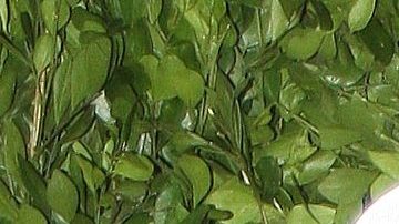 Aislinn Derbez revela el motivo por el que se divorció de Mauricio Ochmann | Mezcalent.