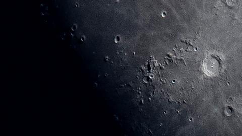 Científicos australianos quieren cultivar plantas en la Luna en 2025