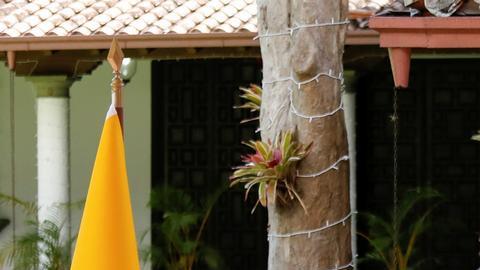 Colombia y ELN relanzan diálogos de paz desde Caracas