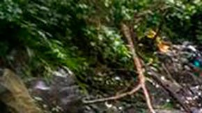 Ola migratoria venezolana cede ante presiones de Estados Unidos