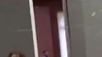 Activistas arrojan puré de papa sobre cuadro de Monet en museo de Alemania