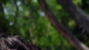 Hace poco, Yolanda Andrade habló sobre Yolanda Andrade refiriéndose a un mensaje sobre las mentiras.