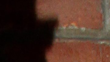 Verónica Castro habla sobre polémica con sus fans menores de edad.