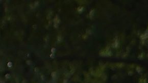 Ninel Conde disfruta presumir su figura desde lujosos yates.