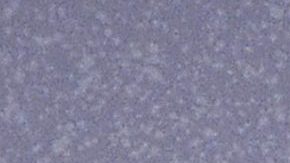 Aleida Núñez expone sus curvas en redes sociales.