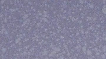 Aleida Núñez expone sus curvas en redes sociales.