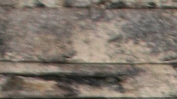 Paul Stanley cuenta la carta que le hizo a su padre | Mezcalent.