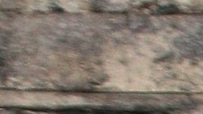 Paul Stanley cuenta la carta que le hizo a su padre | Mezcalent.