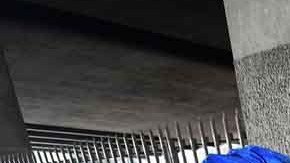 El objetivo de Norma Thornton es brindarle al menos un bocado a las personas que viven en la calle