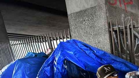 El objetivo de Norma Thornton es brindarle al menos un bocado a las personas que viven en la calle