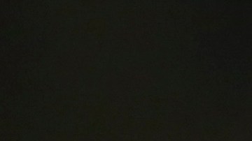 André Jardine DT de San Luis.