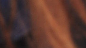 El anillo de bodas se encontraba en un arbusto