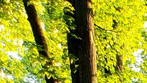 Ms. Yellow con su mural finalizado en Polonia. (Suministrada)