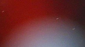 Bryce Harper, estrella de los Phillies.