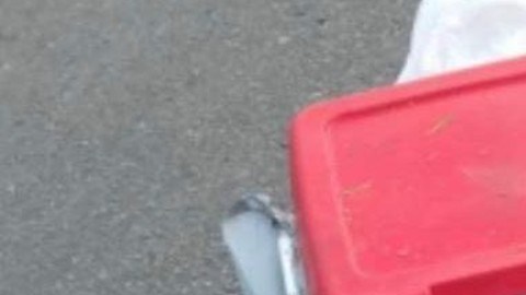 Cabezas halladas en hielera