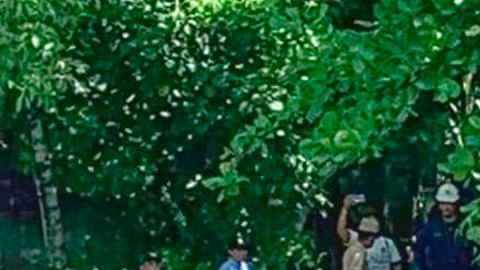 VIDEO: AMLO lamenta la muerte de 3 marinos al caer helicóptero en Tabasco México