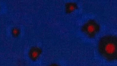 Checo Pérez y Max Verstappen.