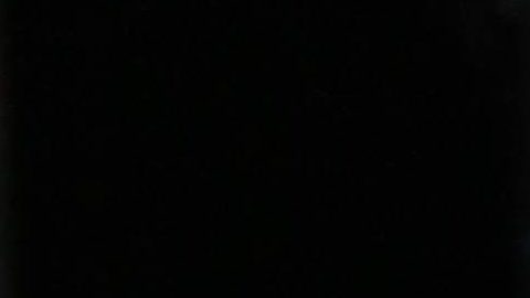 Chiquis Rivera hizo arder concierto en México.