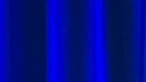 El programa College Corps va para dos años que se puso en marcha. (Cortesía)