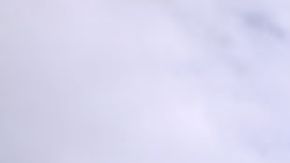 Influencer inmigrante revela los secretos para conseguir trabajo en Estados Unidos