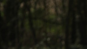 Critican a ‘conejita’ de Playboy por hacer twerking en un cementerio