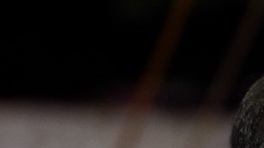 Cuauhtémoc Blanco