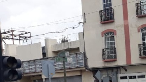 Taxis de Tamaulipas