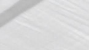 Trabajadores de Amazon continúan su lucha por un mejor salario. (Suministrada)