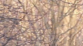 Dos policías mueren a tiros y un tercero gravemente herido tras emboscada en Connecticut