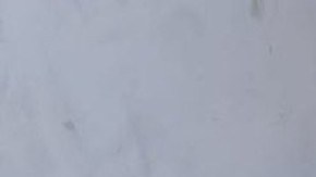 Droga oculta en un cuadro