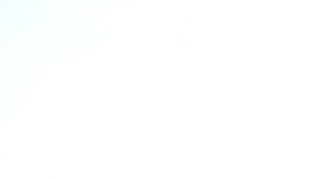 Edson Arantes Do Nascimento O Rei Pelé.