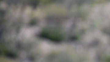 Elemento de la Marina mexicana