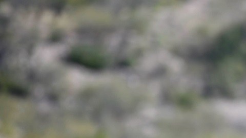 Elemento de la Marina mexicana